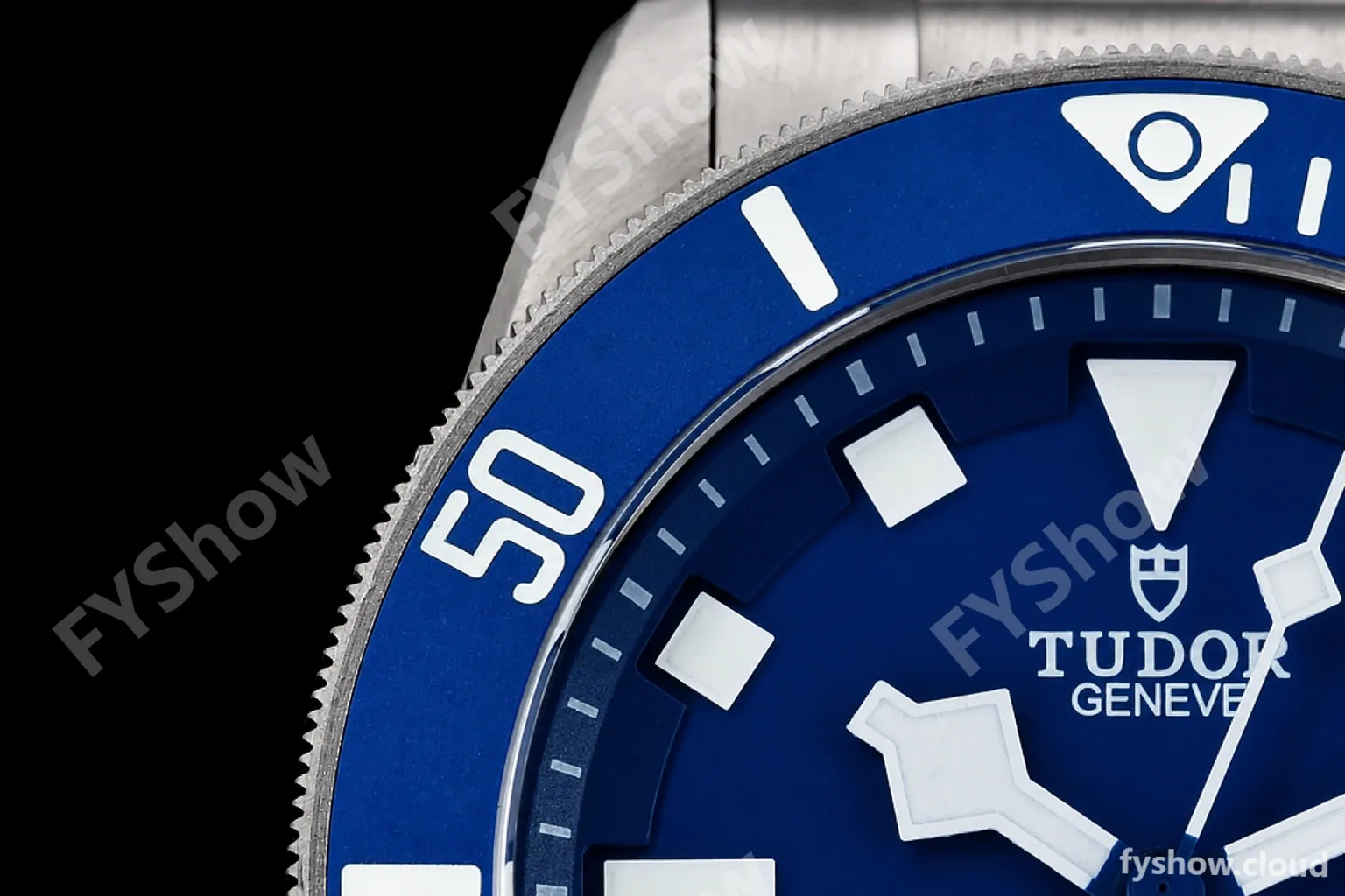 Tudor - Pelagos 42mm 25600TB Titanium TI/TI Blue XF V5 A2824 - Image 8