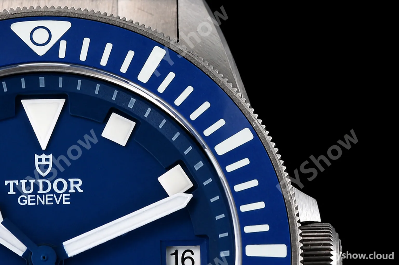 Tudor - Pelagos 42mm 25600TB Titanium TI/TI Blue XF V5 A2824 - Image 9
