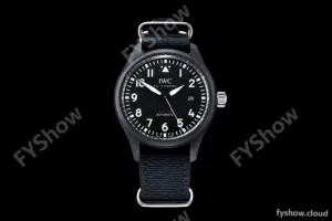 IWC - Top Gun CER/NY Blk ZF A32111