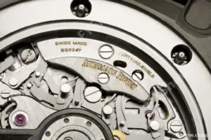 Audemars Piguet - Royal Oak Offshore 26420SO 43mm SS/CER/RU Brn/Blk DDF DD4401