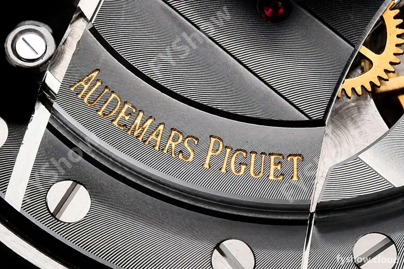 Audemars Piguet - AP ROO Chronograph CER RG/RU Grey/Stk APF A3126 Mod - Image 22