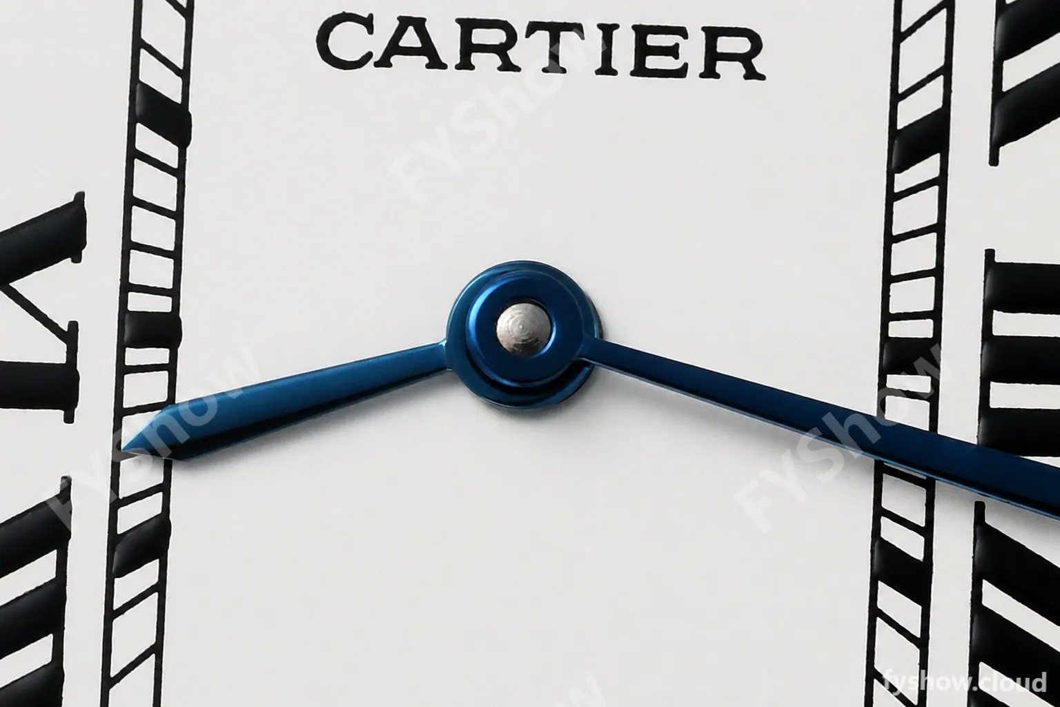 Cartier - Tank Solo Midsize 24.4mm YG/LE White AF Swiss Qtz - Image 7