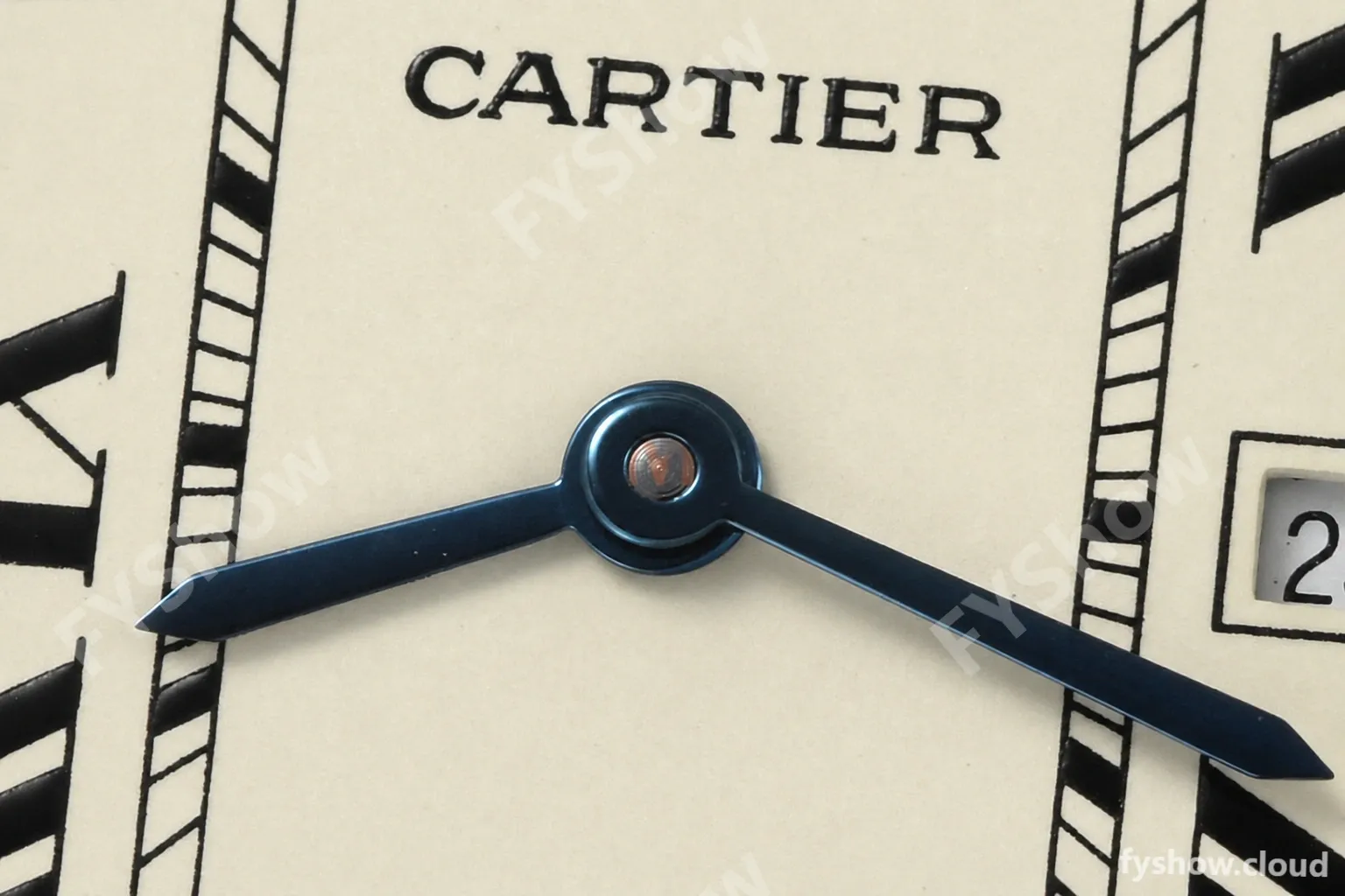 Cartier - Tank Louis Large 25.5mm YG/LE Silver AF Swiss Qtz - Image 6